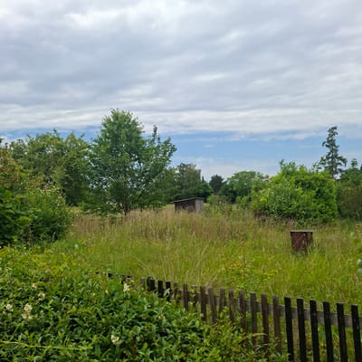 This image depicts an outdoor scene in a rural or semi-rural area, likely a garden or allotment in Hermsdorf, Germany. In the foreground, a weathered wooden fence runs diagonally across the frame, bordering a dense hedge with small white flowers. Beyond the fence, tall, dry grass and various green plants fill the midground. Two small wooden structures, possibly sheds or outbuildings, are visible amidst the vegetation. One is located in the center of the frame, a dark, rectangular structure with a sloped roof. Further to the right, a rusty, barrel-like object stands upright in the tall grass. The background features a variety of trees, ranging from leafy deciduous trees to a tall, conical evergreen, set against a sky with scattered grey clouds and patches of blue. The overall impression is one of a somewhat overgrown, natural setting. There are no people or animals present in the image.