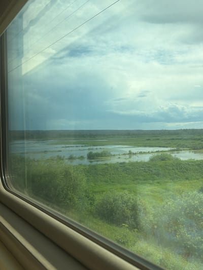 The image shows a view from a window, likely of a train, looking out at a flooded landscape. The foreground is dominated by the window frame and reflections on the glass, which obscure parts of the view. Beyond the window, there is a wide expanse of water with patches of green vegetation emerging from it. This water appears to be a natural body, possibly a river or lake, with evidence of a recent flood. The background consists of a dense green forest stretching across the horizon under a cloudy sky. The sky is a mix of blue and grey clouds, suggesting a possibly overcast or changing weather condition. There are power lines visible across the top of the frame, casting shadows on the sky. The scene is devoid of any human presence or activity, focusing solely on the natural environment. The location is identified as Oktyabr'skii, Russia.