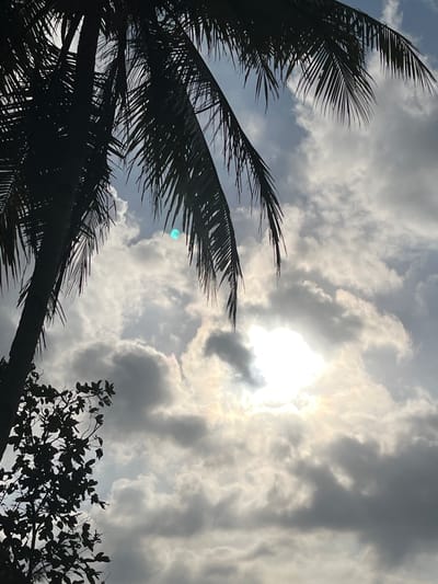 This is a photograph taken from a low angle looking up at the sky, featuring the silhouette of a palm tree on the left side of the frame. The palm fronds are dark and detailed against a sky filled with a mix of bright white and dark gray clouds. The sun is partially obscured by the clouds, creating a luminous glow in the center of the image. A small, faint blue-green lens flare is visible in the upper right quadrant of the sky. In the bottom left corner, the dark silhouette of another tree with smaller leaves and branches is visible. The overall impression is of a tropical or subtropical environment. The location is specified as Tambakreja, Indonesia, which suggests a coastal or humid tropical setting. No people or specific actions are depicted.