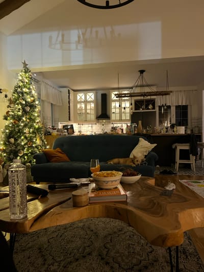 A living room features a Christmas tree adorned with lights near a couch. A uniquely shaped wooden coffee table displays a bowl of pasta, a book titled "Serbia," and a bottle of water labeled "VOVIDOID." The adjacent open kitchen has white cabinetry and a black exhaust hood. A chandelier hangs above. A small dog rests on the couch.