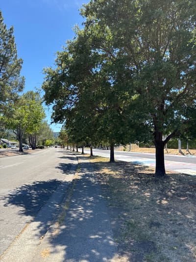 The image depicts a street scene in Novato, California, USA. A paved road runs through the frame, bordered by a sidewalk on the right and a grassy area with trees on the left. Several cars are visible parked on the left side of the road, and a few are in motion on the road itself. Large deciduous trees line the sidewalk, casting dappled shadows on the pavement. The sky is clear and blue. In the distance, hills are visible. The scene appears to be a residential or suburban area, with houses visible in the background on the left. A colorful mural is painted on the ground across the street on the right.