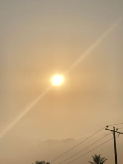 The sun is shining brightly in a hazy, golden sky. Power lines and a utility pole are visible in the upper right corner of the image, alongside the silhouette of a palm tree. The overall tone is muted and warm, creating a sense of diffused light. The image appears to be taken looking up towards the sun.