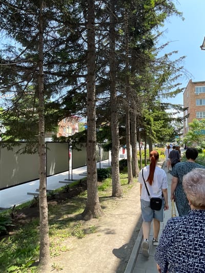 In this outdoor, daytime scene, several people are walking along a paved path lined with coniferous trees. The image is oriented vertically, with the path and trees running from the bottom left to the top right. The sky is a clear blue.
In the foreground, the dark bark of large trees dominates the left side of the frame. To the right, the paved path is visible, with a grassy area to its right. The path is lined with low, grey concrete planters or walls. In the background, a multi-story brick building with white-framed windows is visible, as are more trees and greenery.
The individuals are mostly seen from behind or the side. One woman in the foreground wears a white t-shirt, denim shorts, and a black crossbody bag. She has long, reddish-brown hair. To her right, an older person with grey hair wears a blue and white patterned top. Further down the path, other figures are walking, some in white shirts.
The overall impression is of a pleasant, sunny day in a public space, possibly a park or a pedestrian walkway in a town or city. The presence of trees and buildings suggests an urban or suburban environment.