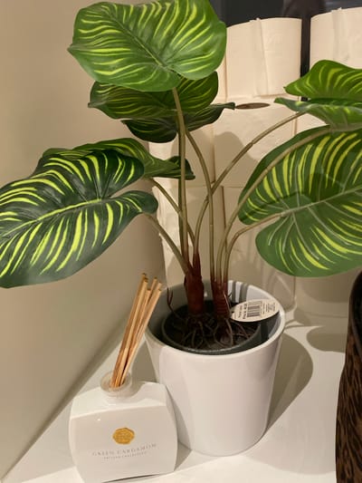 An indoor artificial plant with large green and yellow striped leaves stands in a white pot on a white shelf. To the left of the plant is a white diffuser bottle with reeds, labeled "GREEN CARDAMOM - PRIVATE COLLECTION". Behind the plant, several rolls of white toilet paper are stacked. To the right of the plant, a portion of a brown and black leopard-print item is visible. The scene appears to be in a residential setting, possibly a bathroom or living room, in Herning, Denmark.