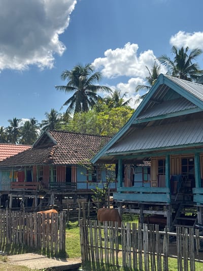 In the city of Kertasari, Indonesia, on a sunny day with scattered clouds, several stilt houses with colorful wooden facades and tiled roofs stand amidst lush vegetation and palm trees. A rustic wooden fence encloses a grassy area where two cows are grazing. The houses have open verandas, and laundry is visible hanging to dry. The scene depicts a tranquil, rural environment.