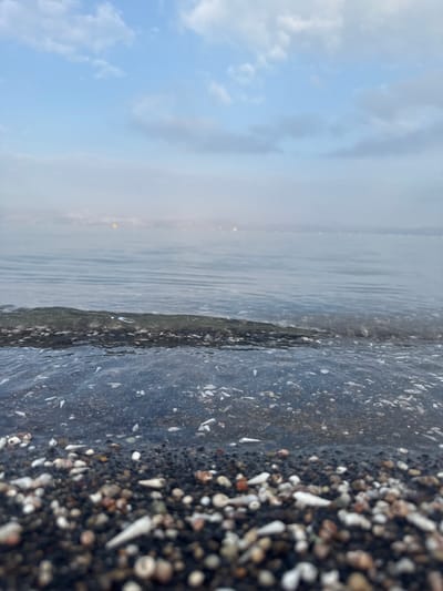 The image shows a shoreline in Migdal, Israel, with a black sand beach covered in pebbles and seashells. The water is clear and calm, reflecting the cloudy sky. In the distance, there are faint lights, potentially from the city across the Sea of Galilee. There are no people visible in the image.