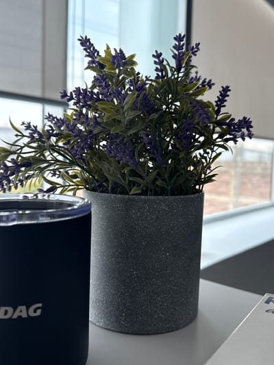 The image depicts a potted lavender plant in a gray pot, positioned on a white surface near a window. The window reveals a view of the outside, hinting at a building with a brick facade. A portion of a black cylindrical object, possibly a tumbler or a similar container, is visible in the foreground, obscuring part of the plant. The scene is well-lit, and the composition is close-up, focusing primarily on the plant and the immediate surrounding objects. There is no evidence within the photograph to locate the specific city in Mexico.
