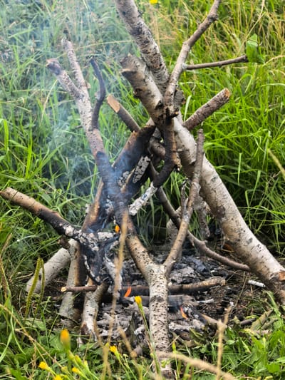 The image shows a small campfire made of birch branches in a grassy area. The branches are arranged in a teepee shape, with some of them charred and smoldering. A thin wisp of smoke rises from the fire. The surrounding vegetation is lush green grass, with some yellow wildflowers visible in the foreground. The scene appears to be outdoors, in a natural setting. There are no people or animals visible in the image.