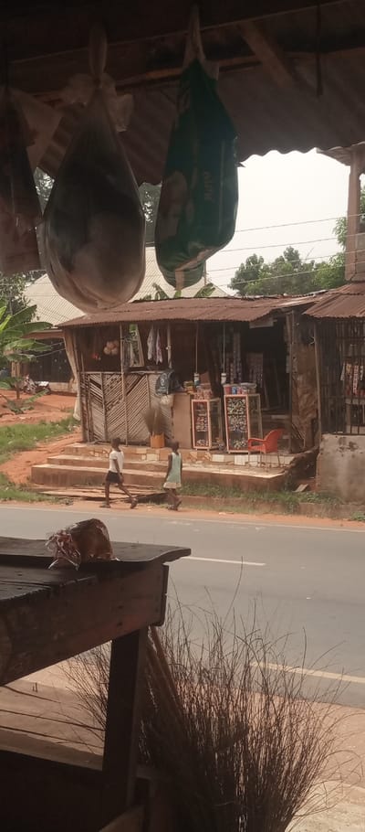 The image depicts a street scene in Umuoji, Nigeria, under an overcast sky. In the immediate foreground, a weathered wooden counter on the lower left holds a small, clear plastic bag containing a dark substance. To its right, a dense cluster of dried, straw-like grass stands vertically. Above, several plastic bags, including a large clear bag with opaque contents and a green bag featuring "Maja" branding, hang from a corrugated metal awning.
Midground elements include a paved asphalt road, delineated by a white line. Two individuals, identified as young males, walk leftward along the red dirt shoulder adjacent to the road. The lead individual wears a white t-shirt and dark shorts, while the second wears a light-colored sleeveless top and light shorts.
Across the road, a small, single-story commercial structure with a rusted corrugated metal roof stands on a raised platform. Its facade incorporates corrugated metal, wooden slats, and woven panels. Merchandise, including hanging clothing, is displayed on its exterior. Two glass-fronted display cases containing various items are positioned in front of the shop, with a red plastic chair placed to their right.
The background features a residential building with a lighter corrugated roof, partially obscured by tropical foliage and banana trees. A motorcycle is visible parked on a dirt path to the far left. The ground throughout the visible area consists largely of red earth.