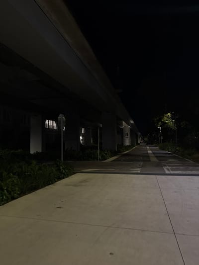 At night, a narrow alleyway stretches into the distance. On the right, a concrete pathway runs alongside a strip of greenery. To the left, a dark building with illuminated windows and signs looms over the path. Streetlights cast a dim glow, highlighting the textures of the concrete and the foliage. The perspective emphasizes the depth and quiet atmosphere of the nocturnal setting.
