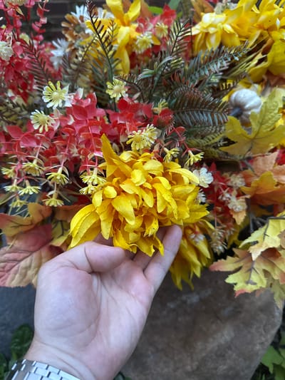 An outdoor close-up shot shows a person's hand holding a large, artificial yellow chrysanthemum flower against a background of artificial autumnal foliage in Shaker Heights, United States of America. The hand is light-skinned with a silver watch on the wrist. The foliage includes red leaves, small yellow flowers, and green, fern-like branches. A small, white, artificial pumpkin is partially visible among the leaves. The background appears to be a dark, rough surface, possibly stone.