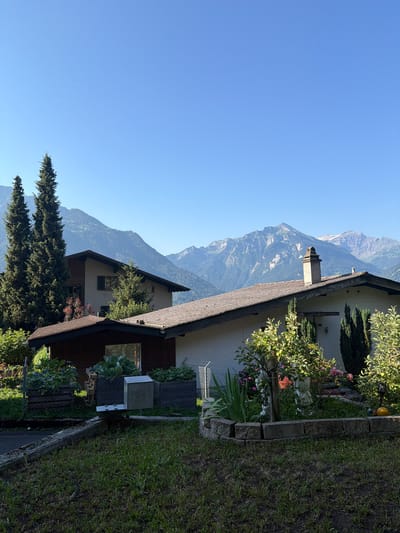 In Goldswil, Switzerland, a residential scene unfolds under a clear blue sky. In the foreground, a well-maintained lawn with some patches of soil leads to a garden area. Raised garden beds, possibly for vegetables, are visible behind a chain-link fence. A metallic mailbox or parcel box stands near the fence.

A light-colored house with a dark-pitched roof dominates the mid-ground. A prominent stone chimney with decorative stonework sits atop the roof. Several tall, dark green evergreen trees stand to the left of the house, their branches reaching towards the sky. Another smaller evergreen is situated near the house. In the garden area in front of the house, there are various plants, including a small tree with green fruit, flowers, and some decorative garden statues. A small, dark-colored shed or outbuilding is also present.

The background features a majestic mountain range, with layers of peaks fading into a hazy blue in the distance. Some of the higher mountain peaks show hints of snow or lighter colored rock. The overall impression is one of a peaceful, rural setting with a blend of natural beauty and domestic life.