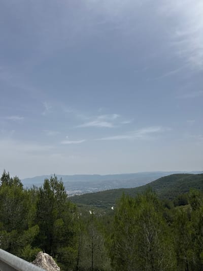 The image depicts a panoramic view from a vantage point overlooking the city of Ontinyent, Spain. The foreground is dominated by lush green pine trees, with some rocky terrain and a metal guardrail visible on the left. In the mid-ground, rolling hills covered in dense vegetation descend towards the city. A winding road is faintly visible in the distance, cutting through the landscape. The city of Ontinyent itself appears as a cluster of buildings nestled in the valley, with mountains forming a hazy backdrop on the horizon. The sky is a pale blue with sparse, wispy clouds, suggesting a clear but somewhat overcast day. The overall impression is one of natural beauty and a serene rural setting on the outskirts of a Spanish town.