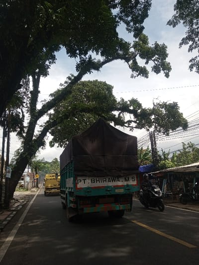 A truck marked "PT. BHIRAWA. M. S." is driving down an asphalt road with a solid yellow line, followed by a yellow vehicle. A scooter approaches from the right. Lush green trees arch overhead, their branches extending across the scene. Wires are overhead on the right. A roadside structure is adjacent to the road. The weather appears overcast.