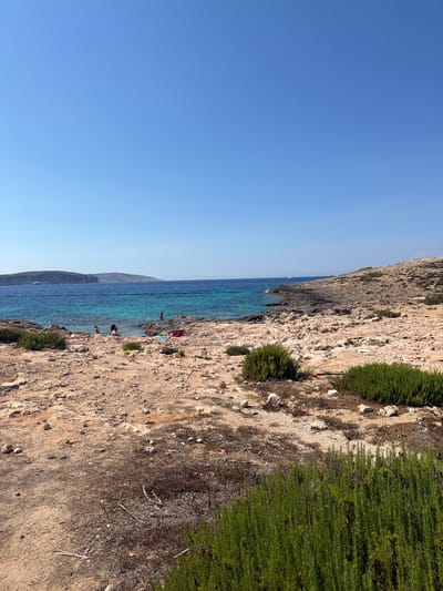 This image depicts a sun-drenched coastal scene in Mellieħa, Malta, likely during the daytime given the clear blue sky. The perspective is from a rocky, uneven terrain overlooking a vibrant turquoise sea. The coastline is rugged and characterized by stony ground with sparse patches of dry vegetation and some more lush green bushes.
In the foreground, the rocky ground is the dominant element, showing variations in color and texture, with scattered stones and debris. A line of dense green shrubbery runs along the upper edge of the rocky area, contrasting with the dry earth.
The sea is a prominent feature, its clear waters revealing a shallow depth near the shore. Several people are visible enjoying the water and the rocky coastline. Some appear to be swimming or wading in the sea, while others are situated on the rocks. One individual is dressed in a dark top and shorts, seemingly standing on a rock. Another group of individuals are scattered along the shoreline, some appearing to be sunbathing or relaxing. Small objects like a red and blue towel are visible on the rocks. In the distance, a light blue sailboat is present on the water, and a mountainous or hilly landmass forms the horizon across the sea.
The overall impression is one of a warm, pleasant day at a natural, somewhat undeveloped beach area, inviting relaxation and outdoor activity. The bright sunlight casts shadows, indicating it is likely midday or early afternoon. No text is visible in the image.