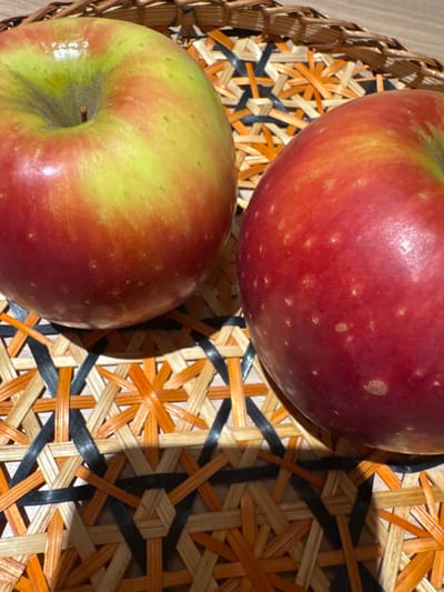 Two whole apples rest on a woven mat in George Town, Malaysia. The apple on the left displays a prominent blend of red and yellow-green coloration, with its stem visible within the apical depression. The apple on the right is predominantly red, showing small lighter speckles on its surface. Both apples exhibit a subtle sheen. They cast distinct shadows onto the underlying mat, which is constructed from interwoven strips of light tan, orange, and dark brown material, forming an intricate geometric pattern. No individuals, further objects, or actions are depicted. The scene is a static, close-up composition.