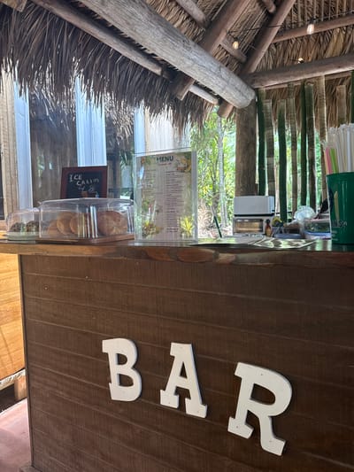 Here is a description of the image:
The image shows an outdoor bar with a thatched roof structure. A menu and a display case with pastries and a sign for ice cream are visible on the bar's surface. The word "BAR" is written in large white letters on the front of the bar. The scene appears to be located in Davie, Florida, based on the presence of a straw dispenser that says "ANS" on it. The scene is devoid of people.