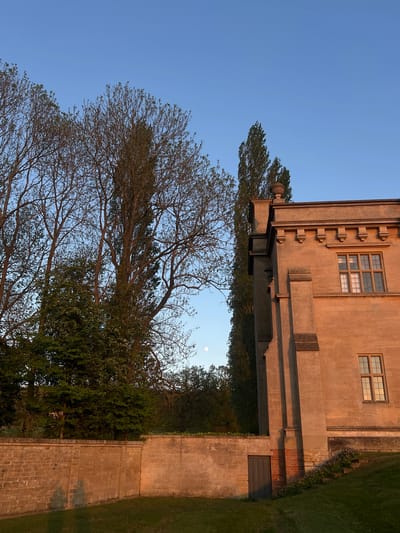 The image depicts an outdoor scene dominated by a grand, stone or brick building under a clear, blue sky. The photograph is taken during either sunrise or sunset, as indicated by the warm, golden light illuminating the building's facade. A small, white moon is visible in the upper right portion of the sky, further suggesting twilight hours.
The building, occupying the right side of the frame, features several multi-paned windows, some reflecting the golden light. Intricate architectural details, such as decorative corbels or brackets, adorn the upper part of the structure. A prominent structural element, possibly a covered walkway or a large lintel, extends horizontally from the building's main section. Below this, a dark brown door is set into a brick wall, adjacent to a neatly maintained green lawn on the far right.
Various trees frame the scene. On the left, a large tree with mostly bare, intricate branches reaches upwards, contrasting with a dense canopy of dark green foliage that fills the mid-ground. Another tall, slender tree with dark leaves peeks above the building's structural element. The overall atmosphere is peaceful and serene, with no specific activity taking place. There is no visible text in the image.