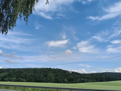 This media file depicts a rural landscape in Sebbeterode, Germany. The scene is dominated by a vibrant blue sky filled with wispy white clouds, suggesting fair weather and possibly mid-day. In the foreground, a bright green field stretches across the frame, bordered by a metal guardrail. Behind the field, a dense, dark green forest covers a rolling hill. At the very top left, the drooping branches of a tree with green leaves frame the sky. A solitary figure, barely visible in the distance on the left side of the field, is walking. The overall impression is one of a serene and natural environment, likely during a pleasant day. There is no visible text in the image.