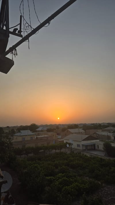This is a vertical, eye-level, full shot of a sunset over a residential area in Kaka, Turkmenistan. The sun is a small, bright orange orb low on the horizon, casting an orange glow across the sky. In the foreground, a large, dark, metallic structure with wires and two birds is visible in silhouette against the sky. Below the sky, a dense canopy of dark green foliage, possibly a vineyard or orchard, fills the lower half of the frame. Beyond the foliage, a cluster of modest, single-story homes with flat or gently sloping roofs are visible. The houses are predominantly light-colored, with some featuring tiled roofs and satellite dishes on their exteriors. The overall impression is of a rural or semi-rural setting at dusk.