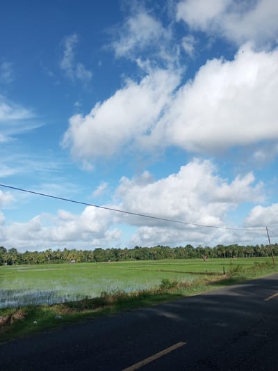 This image depicts a rural landscape in the city of Tocina, Indonesia. The scene is dominated by a vast, flooded rice paddy field stretching horizontally across the middle ground, reflecting the bright blue sky and fluffy white clouds. A dense line of lush green trees, including palm trees, forms a natural border behind the rice fields. In the distance, a small, rustic hut can be seen nestled amongst the trees. The foreground features a dark asphalt road with a faint yellow line marking its edge, casting dappled shadows from an unseen source. A thin, dark wire runs diagonally across the upper portion of the frame, suggesting the presence of overhead power or communication lines. The sky is a vibrant blue, populated by numerous white, cumulus clouds of varying sizes and densities. A tiny dark silhouette of a bird is visible high in the sky, adding a subtle detail to the expansive atmosphere. The overall impression is one of a serene and fertile agricultural environment under a clear, dynamic sky.