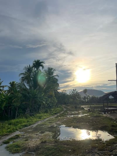 This media file depicts a serene outdoor scene at Khang Tanjong, Indonesia. The main subject is a lush tropical landscape bathed in the warm glow of the setting sun. The sky is a canvas of soft clouds, with the sun creating a bright, luminous halo as it dips below the horizon.

In the foreground, verdant foliage dominates, with prominent palm trees and other tropical vegetation creating a dense, green canopy. The ground appears to be a mix of grassy areas and muddy patches, with reflections of the sky and surrounding greenery visible in shallow pools of water. A wooden structure, possibly a hut or shelter with a thatched roof, is partially visible on the right side of the image, suggesting a rural or natural setting.

The time of day is clearly evening, indicated by the low angle of the sun and the warm, golden light that permeates the scene. The weather appears to be pleasant, with clear skies and perhaps a touch of humidity typical of tropical environments. There are no people or specific activities clearly depicted, lending the image a peaceful and tranquil atmosphere.

Notable details include the sun's strong glare, which causes some lens flare and washes out parts of the sky. The reflections in the water add depth and visual interest to the scene. The overall impression is one of natural beauty and quietude, capturing a moment of tranquility in a tropical locale. No visible text is present in the image.