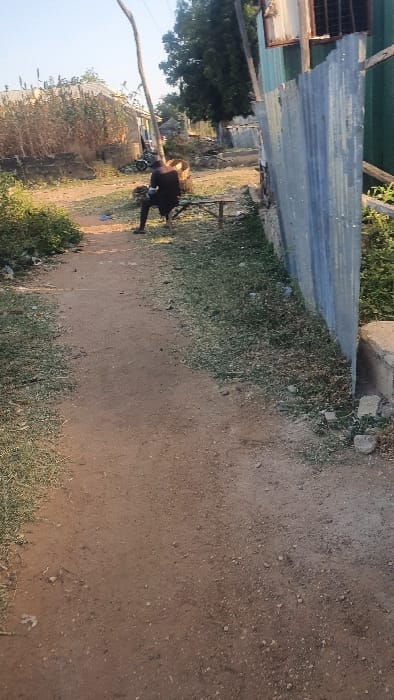 The scene depicts an unpaved outdoor area in Danbare, Nigeria, under clear daytime conditions. A reddish-brown dirt path occupies the foreground and mid-ground, flanked by sparse green and dry grass.

In the mid-ground, a single individual, dressed in dark clothing, is seated on a light brown wooden bench positioned near the path's edge on the left. The person appears to be attending to something in their lap or on the ground directly in front of them, where a dark, circular object (possibly a container) and green plant material are visible.

To the immediate right of the path, a corrugated metal fence, light grey in color, runs parallel to the path, partially obscuring a green metal building. A small concrete structure is present at the base of the fence. A wooden utility pole extends vertically from the mid-ground into the upper left quadrant of the image.

The background features various low-rise structures, consistent with residential buildings, and numerous trees with green foliage. A motorcycle is partially visible parked near the structures on the left side of the background. Scattered debris is present along the path's edges.