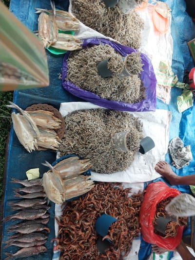 A high-angle, close-up shot captures a market stall in Turumame, Indonesia, displaying a variety of dried seafood. The stall is set up on a blue tarp, with a white cloth and purple plastic sheeting acting as surfaces for the goods.

Dominating the scene are large piles of dried anchovies, some contained within grey cylindrical containers and others spilling out onto the sheeting. Adjacent to the anchovies are rows of whole dried fish, appearing pale and elongated, arranged on a woven brown mat and a blue basket. To the right, a vibrant red plastic bag is filled with dried shrimp, with a blue container also holding a portion of the shrimp. In the foreground, several fresh, silver-skinned fish are laid out in a row, appearing moist and possibly salted.

A person's bare foot is visible on the right side of the frame, resting near the red bag of shrimp, indicating human presence and activity at the market. A checkered cloth is also present on the white sheeting. The overall impression is one of a bustling marketplace with a focus on preserved seafood offerings.