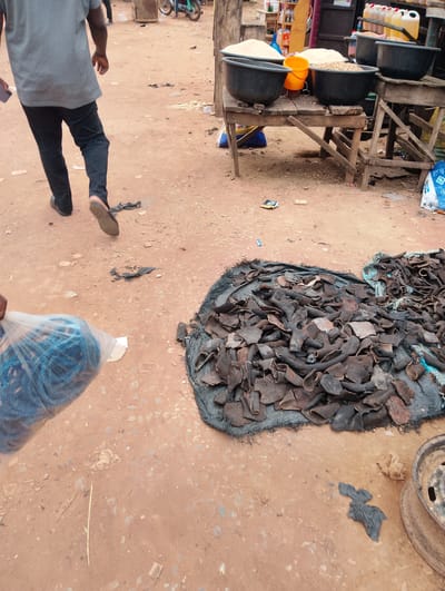 The image depicts an outdoor market scene in Ijoko, Nigeria. In the foreground, a person is walking away from the camera, wearing a grey t-shirt and black trousers. To the right of the person, a pile of dried animal hides is spread out on a black tarp. Behind the person and to the left, a plastic bag filled with blue rope is being held. In the background, a stall displays various food items in large black bowls, including what appears to be rice and beans. Yellow liquid is also visible in plastic containers on a shelf behind the stall. A motorcycle and a bicycle are parked in the distance, and the ground is covered with reddish-brown dirt and scattered debris. The overall impression is of a busy, open-air marketplace.
