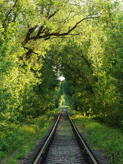 The image depicts a section of a railroad track extending into the distance, disappearing into a tunnel of dense green foliage. The track is lined with small stones or gravel, interspersed with patches of green vegetation. The trees form an archway above the track, creating a natural tunnel effect. The leaves are a vibrant green, illuminated by sunlight filtering through the canopy. The light creates a bright spot in the distance at the end of the track. The location is Mikhnevo, Russia.