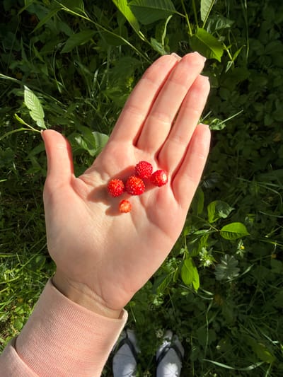 A person's left hand, palm up, holds six small, red wild strawberries. The hand is illuminated by natural sunlight, casting a shadow on the skin. The person is wearing a light pink long-sleeved shirt. In the background, dense green grass and foliage are visible, suggesting an outdoor environment. The scene is likely located in a natural or semi-natural area within Satino-Russkoe, Russia. The perspective is from above, looking down at the hand and the surrounding vegetation.