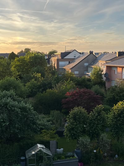 The image depicts a suburban residential area in Mondercange, Luxembourg, during the late afternoon or early evening, as indicated by the warm, golden light bathing the scene and the long shadows cast. The foreground is dominated by a lush, densely planted garden with various trees and shrubs. A small greenhouse with a transparent roof is visible in the lower left corner, suggesting horticultural activity. Further into the garden, there are plants in pots, a water barrel, and a wooden fence.
Beyond the garden, a row of houses with pitched roofs and typical European architectural styles are visible. The houses are of varying heights and colors, with some featuring satellite dishes on their exterior walls. The sky above is partly cloudy with wispy cirrus clouds, and the setting sun casts a soft glow. The overall impression is one of a tranquil residential neighborhood with well-maintained gardens. No people or animals are present in the image.