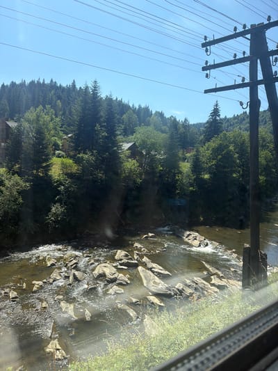 The image depicts a scenic view of a river flowing through a forested area with mountainous terrain, likely in the Carpathian Mountains near Mykulychyn, Ukraine. In the foreground, a rocky riverbed is visible with clear, flowing water and numerous stones and boulders. The banks of the river are lined with lush green vegetation and trees. In the background, a dense forest of evergreen trees covers the slopes of the mountains. Several wooden houses or cabins are scattered amongst the trees on the hillside. Overhead, a network of power lines supported by wooden utility poles runs across the frame, suggesting the presence of infrastructure in the otherwise natural setting. The sky is clear and blue, indicating a sunny day. The perspective suggests the photo was taken from a moving vehicle, possibly a train, given the reflection of a window frame in the lower right corner. There are no people visible in the image.