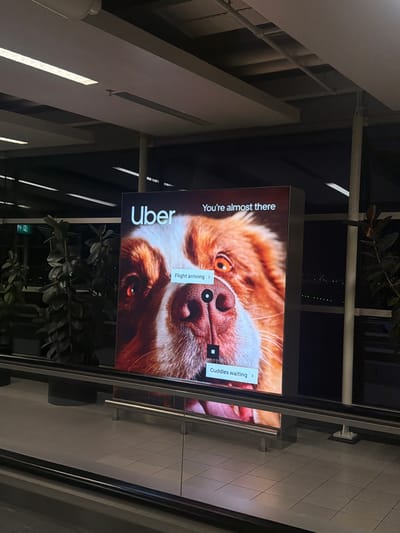 This is an indoor photograph taken at Schiphol Airport in the Netherlands, depicting a large, illuminated digital billboard advertising Uber. The advertisement features a close-up of a dog's face with reddish-brown and white fur, bright orange eyes, and a dark nose. The Uber logo is positioned in the upper left corner, and the phrase "You're almost there" is in the upper right. Interactive overlay elements on the screen include a black circular marker above the dog's nose with the text "Flight arriving >" and a black square marker below the dog's nose with the text "Cuddles waiting >".
The billboard stands on a light grey tiled floor with dark grout lines, visible in the lower right. A modern metal and glass railing system extends across the foreground. In the background, large windows reveal a dark outdoor environment with rows of distant green lights, characteristic of an airport tarmac or runway at night. Through the windows on the left, several large, dark green potted plants are visible, along with a green "N exit" sign. The ceiling above is light-colored, featuring recessed rectangular fluorescent light fixtures and exposed structural beams and pipes. A white vertical support pillar is partially visible on the right side of the advertisement. No people are present in the image.