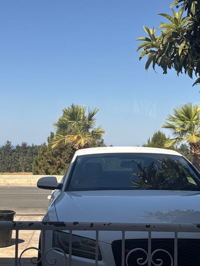 The image shows the front of a white car parked outdoors on a sunny day, with palm trees and a dense line of evergreen trees in the background. The car is positioned in the foreground, partially obscured by a white metal railing. The sky is clear and blue. The scene appears to be a residential or street setting in Yeroskipou, Cyprus, given the presence of Mediterranean vegetation. A dark trash can is visible to the left of the car. The car's hood and windshield are prominent, with reflections of the surrounding foliage visible on the windshield. The overall impression is of a typical daytime scene in a warm climate.