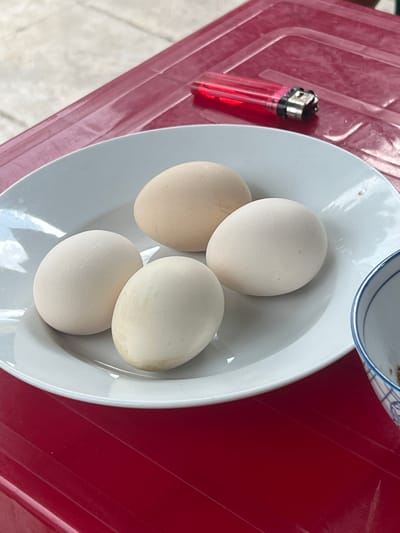 Four eggs, three white and one light brown, are arranged on a white plate. The plate rests on a red plastic surface, possibly a table or tray. A red lighter is positioned on the red surface, to the right of the plate. To the right of the plate, a portion of a bowl with blue and white trim is visible. The scene is set outdoors, as indicated by the light and shadow. The location is Tân Quang Commune, Vietnam.