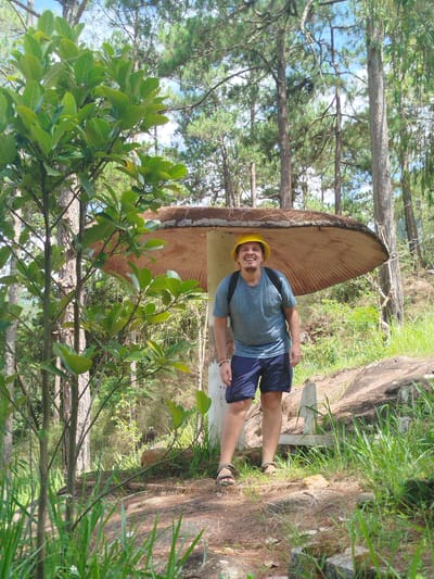 An adult male stands in a wooded area of Đa Thọ, Vietnam, next to a large, artificial mushroom-shaped structure. The man is positioned centrally, facing the camera with a wide smile. He wears a yellow bucket hat, a light blue short-sleeved t-shirt, dark blue cargo shorts, and dark sandals. A black backpack is visible on his shoulders. The mushroom structure, to his right, features a wide, flat, reddish-brown cap with visible ribs resembling gills on its underside, supported by a thick, light-colored stem. The cap's top surface is covered with dry debris, possibly pine needles. To the man's left, a tall tree with large, bright green leaves stands prominently. The background consists of a dense forest primarily composed of tall pine trees with visible trunks and needle-like foliage, beneath a partially visible blue sky with scattered clouds. The ground is uneven, covered with dirt, rocks, dry pine needles, and patches of vibrant green grass and undergrowth. Bright natural sunlight illuminates the scene, casting shadows.