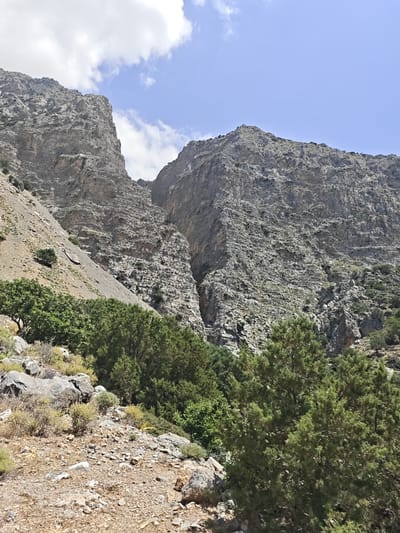 This is a high-angle, full shot of a rocky, mountainous landscape under a partly cloudy sky. The foreground features a rough, rocky terrain with sparse, dry vegetation and some larger boulders. Beyond the foreground, a dense growth of green trees and shrubs forms a vibrant contrast to the arid ground. Towering in the background are immense, rugged grey rock faces, deeply fissured and appearing sheer in places. A narrow, dark chasm or ravine cuts vertically through the central rock formation. The overall impression is one of a harsh, natural environment, likely a canyon or gorge. The scene is devoid of people or man-made structures, focusing solely on the natural geological and botanical elements.
