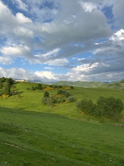 The image depicts a rolling green hillside with scattered trees and patches of yellow wildflowers, under a dramatic sky filled with white and gray clouds. In the distance, a cluster of buildings, possibly a farm or settlement, is visible on a higher ridge. The landscape suggests a rural or mountainous region, consistent with the location of Nizhnyaya Mara, Russia. The scene is natural and serene, with no people or animals present. The lighting indicates it is either morning or late afternoon, as indicated by the shadows cast across the terrain.