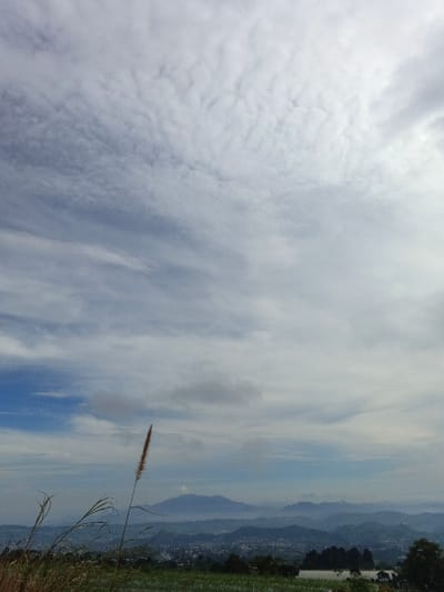 The image captures a wide expanse of sky, dominated by textured clouds in shades of white and gray. Below the sky is a distant mountain range, partially obscured by haze. In the foreground, tall grasses and vegetation sway slightly, their brown and green hues contrasting with the sky. A town or village is nestled in the landscape between the foreground and the mountains.