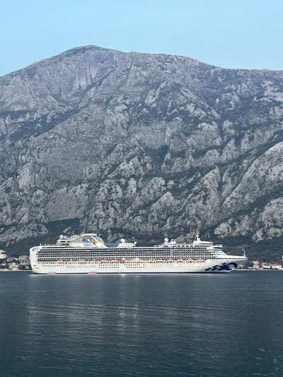 A large, multi-decked white cruise ship, identified by "PRINCESS CRUISES" text and blue wave patterns on its bow, floats on calm, dark blue water. The vessel's numerous windows are illuminated, and a distinctive glass-domed structure is visible on its upper deck. In the background, towering, rugged grey mountains with areas of sparse vegetation rise abruptly, extending to the top of the frame. Along the base of these mountains, on the shoreline, low-rise structures characteristic of a coastal settlement are visible. The sky above the mountain peaks is clear and light blue. The scene is located in the Bay of Kotor, near Bogdašići, Montenegro, during what appears to be late afternoon or early evening. No individuals are distinctly visible. The ship is either stationary or moving slowly through the water.