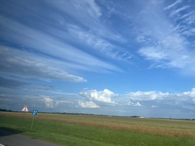 The image shows a wide, flat landscape under a bright blue sky with wispy white clouds. The foreground features a paved road on the left and a green grassy field. Two traffic signs are visible on posts in the field. The first sign is triangular with a red border and depicts traffic lights. The second sign is square with a blue background and white arrows indicating a lane split. Beyond the grassy field, there is a field of yellowing crops, and in the distance, a line of trees and some buildings are visible. The overall impression is of a rural, open environment, likely in the Дзешчанскі сельскі Савет region of Belarus.
