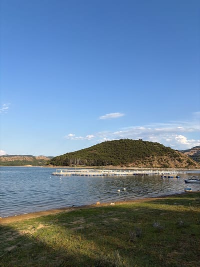 This is a vertically oriented, outdoor, wide-angle photograph taken on a clear, sunny day. The scene is a body of water, likely a lake or reservoir, with a grassy shoreline on the right and a tree-covered, hilly mountainside on the left. Extending into the water from the shoreline is a white, metal structure with blue buoys attached. This structure appears to be some form of floating platform or aquaculture farm. Several small, white buoys are also visible scattered across the surface of the water. The sky is a vibrant blue with a few wispy white clouds. The sun is casting shadows, indicating it is likely midday. The overall impression is one of a serene, natural landscape with a man-made element integrated into it. There is no visible text in the image.