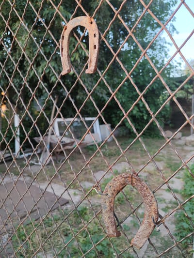 Two rusted horseshoes hang on a weathered chain-link fence in Bryastovets, Bulgaria. The upper horseshoe is suspended towards the top of the frame, while the lower one is closer to the bottom. Behind the fence, a blurred background shows green foliage and what appears to be some discarded construction materials, including a white door frame and a wheelbarrow. The lighting suggests it is late afternoon or early evening.