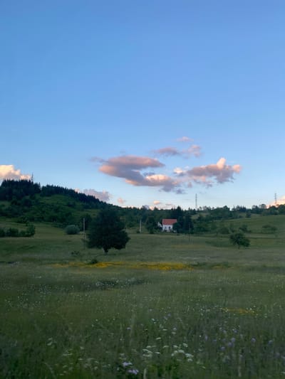 The image depicts a pastoral landscape with rolling green hills under a pale blue sky with scattered pink-tinged clouds. In the mid-ground, a small white house with a red roof is nestled among trees. The foreground is a field of tall green grass dotted with small wildflowers, some yellow and some white, with a few hints of purple. A lone dark tree stands prominently in the mid-ground on the left. The background features a dense line of dark green trees on a hillside, with power lines and pylons visible against the sky. The overall scene suggests a rural setting, possibly in the region of Praga, Montenegro, characterized by natural beauty and sparse human habitation. There are no people or animals visible in the image.