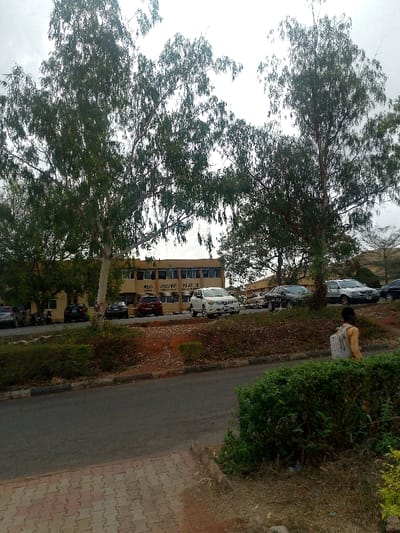 This image depicts a scene at the Federal University of Agriculture, Abeokuta (FUNAAB) in Alabata, Ogun State, Nigeria. The central feature is a two-story light brown building with multiple windows, identified by the prominent text "SKILLS ASSESSMENT POINT" and partially visible "FEDERAL UNIVERSITY OF AGRICULTURE, ABEOKUTA" signage.

In the foreground, a dark asphalt road with a concrete curb runs horizontally across the frame. To the left of the road is a paved sidewalk made of red and grey interlocking blocks. To the right of the road, a strip of unkempt reddish-brown earth is interspersed with green foliage and a well-maintained green hedge in the lower right corner.

Numerous tall, slender trees with dense green foliage dominate the upper and mid-portions of the image, partially obscuring the building and the sky. The sky is overcast and uniformly light grey.

A line of vehicles is parked along the road in front of the Skills Assessment Point building. These include a prominent white Nissan SUV (possibly an Xterra) in the center, flanked by several dark-colored sedans and SUVs. More vehicles are visible further down the road to the right.

One individual, seen from behind, walks towards the right in the lower right quadrant of the image. They are wearing a light-colored shirt and a light-colored backpack. A distant, low-lying hill is visible on the far right horizon, beyond the trees and buildings.