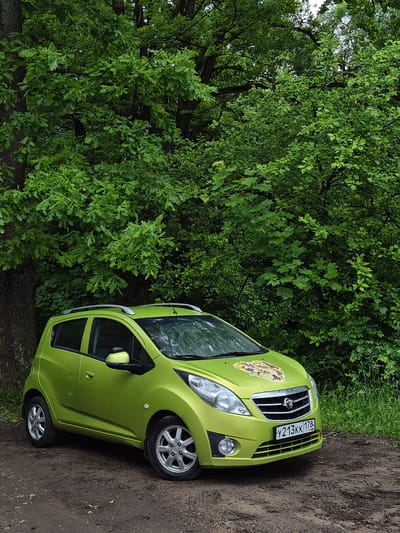 A bright lime green car, possibly a Chevrolet Spark, is parked on a dirt road surrounded by lush green foliage and trees. The car faces towards the right of the frame, with its front grille and headlights prominently visible. A license plate with the characters "y213kk 178 RUS" is attached to the front. The car has a sticker on its hood depicting a collage of what appears to be floral or nature-themed imagery.
The scene is set in a natural environment, likely a wooded area or park, with dense green leaves and branches from trees framing the car on the left and background. The ground is a muddy brown dirt path. The lighting suggests it might be daytime, possibly overcast given the even illumination and lack of harsh shadows. The overall impression is a somewhat serene, natural setting with the modern object of the car placed within it. The orientation of the photo is rotated 90 degrees counterclockwise.
