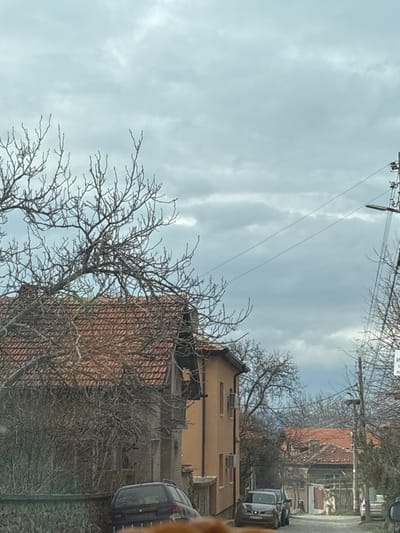 The image displays an overcast street scene in Resilovo, Bulgaria. A grey, cloudy sky occupies the upper portion of the frame. In the left foreground, a large deciduous tree with bare branches extends across the left and top-left quadrants. Behind the tree, an older two-story building with a reddish-brown tiled roof and weathered walls is partially visible. A dark-colored minivan, possibly blue or black, is parked on the street directly in front of this building, with its rear bumper and license plate obscured. A stone wall runs along the left side of the street beneath the minivan. To the right of the older building, a taller, light orange-tan colored building features at least two external air conditioning units mounted on its side. Further down the street, a dark-colored pickup truck or SUV is parked on the right side of the road. The street surface appears to be unpaved or roughly paved. A wooden utility pole with an attached street light fixture and multiple overhead power lines is prominent on the far right. A white rectangular sign with dark text is affixed to a pole near the utility pole. Additional residential buildings with tiled roofs and bare trees line the street in the background. No people are present in the scene.