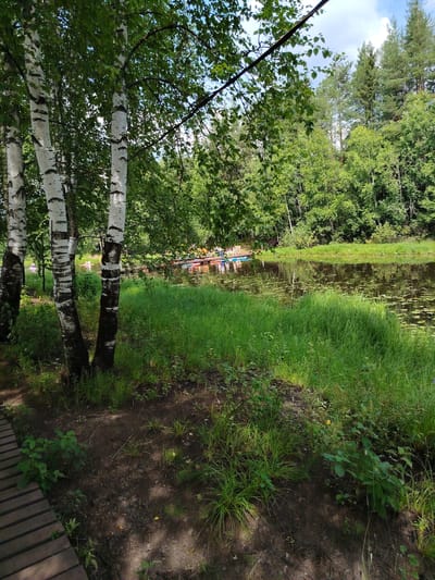 In the city of Vylytdor, Russia, a sun-dappled forest landscape unfolds along a tranquil body of water. In the foreground, the textured wooden planks of a pathway lead the eye towards the lush, green bank of the river. Several birch trees with their distinctive white bark and dark markings stand tall, their leaves filtering the sunlight. The river itself is a dark, reflective surface, dotted with lily pads and the reflections of the surrounding trees.
On the far side of the river, a dense forest of green foliage creates a verdant backdrop. Along the water's edge on the opposite bank, a cluster of colorful kayaks and possibly paddleboards are gathered, suggesting recreational activity. A group of people, some standing and some seated in the kayaks, are visible, their presence indicating a leisurely outing on the water. The sky above is a bright blue with scattered white clouds, completing the serene outdoor scene.