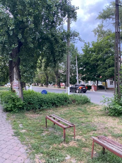 The image depicts a street scene in Antratsyt, Ukraine. The foreground features a paved walkway on the left and a grassy area with two weathered wooden benches. A large tree with a thick trunk stands near the walkway, its bark showing some wear. A poster is attached to the tree. A hedge runs along the edge of the grassy area, bordering a paved road. Beyond the road, there are more trees and buildings, including a building with an awning. A dark-colored SUV is driving on the road. The sky is overcast with clouds. The scene appears to be a quiet, tree-lined street in a residential or commercial area.